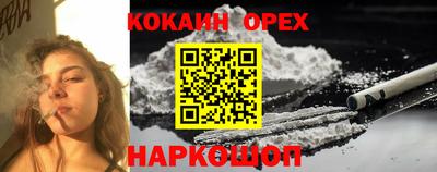 крисы Дубна