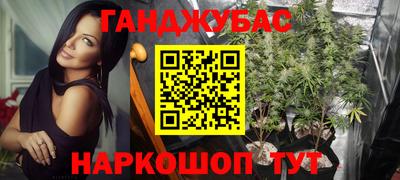 крисы Дубна