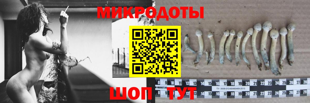 Галлюциногенные грибы GOLDEN TEACHER Люберцы